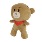 budizzz bear